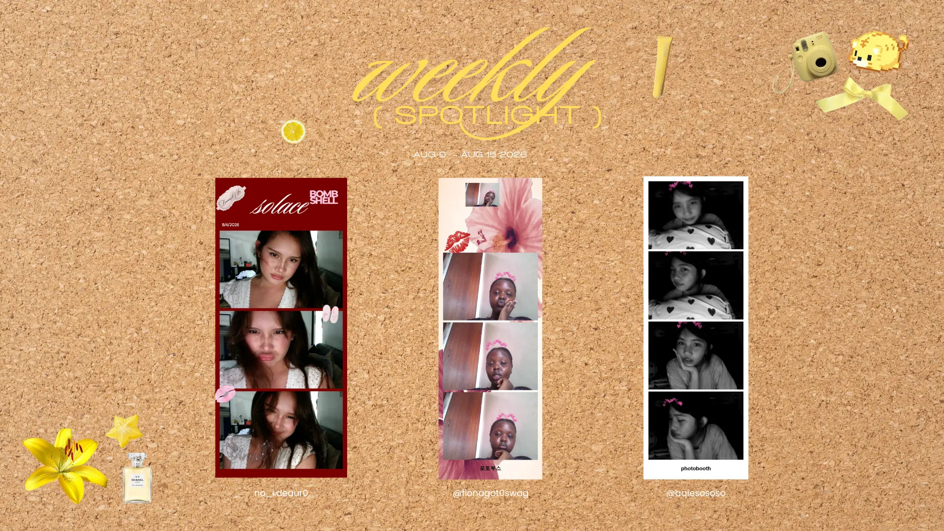 weekly spotlight